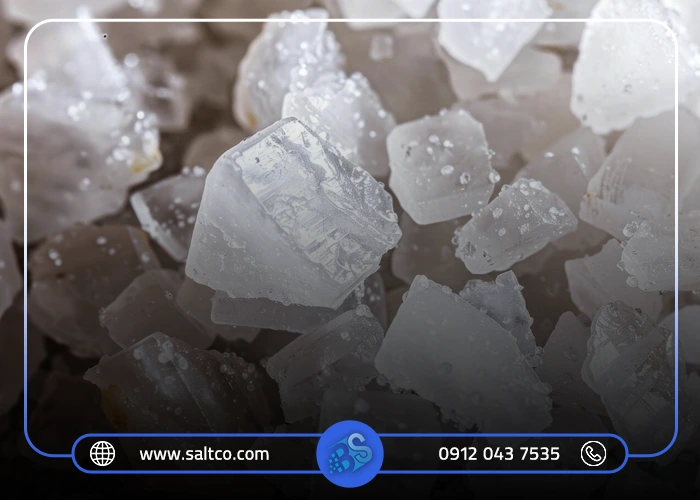 دلنمک بیوتی سالت چیست؟